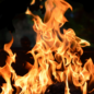 Modul Feuer